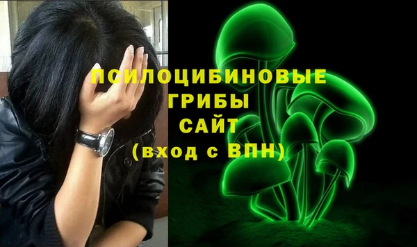 мескалин Инта